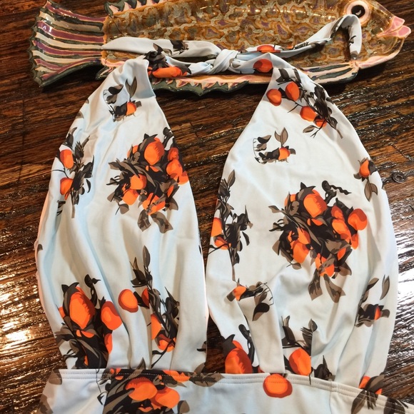 Vintage Pin Up Look Bathing Swim Suit Tangerines - Picture 2 of 8